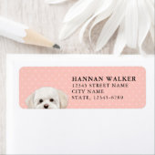 Maltese Hond Retouradres Label (Insitu)