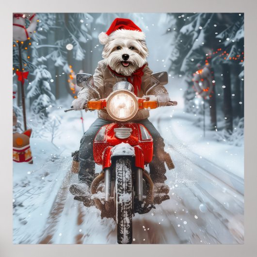 Maltese Hond Rijden Motorfiets Kerstmis Poster (Voorkant)