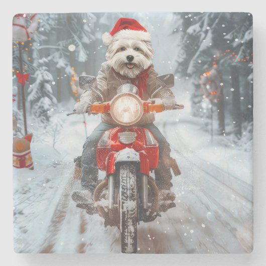 Maltese Hond Rijden Motorfiets Kerstmis Stenen Onderzetter (Voorkant)