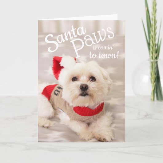 Maltese hond Santa Christmas Kaart (Voorkant)