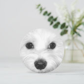 Maltese Hond Sweet Gaze en Zachte Neus Kaart (Staand voorkant)