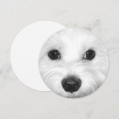 Maltese Hond Sweet Gaze en Zachte Neus Kaart (Voorkant / Achterkant)