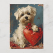 Maltese hond  Valentijnsdag Briefkaart (Voorkant)
