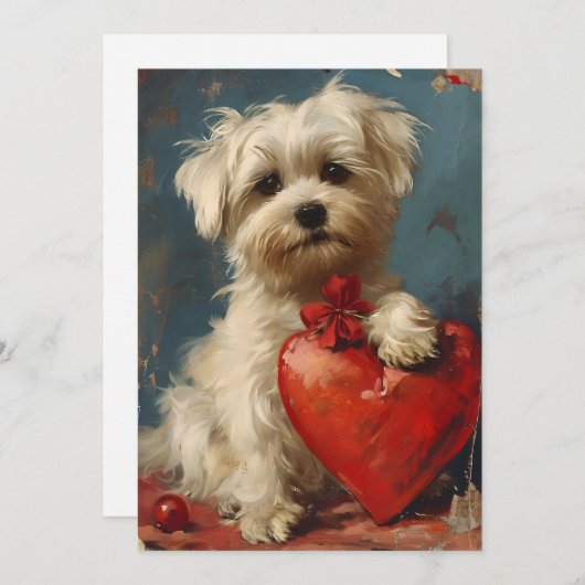 Maltese hond  Valentijnsdag Feestdagenkaart (Voorkant / Achterkant)