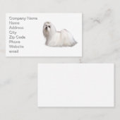 Maltese hond visitekaartje (Voorkant / Achterkant)