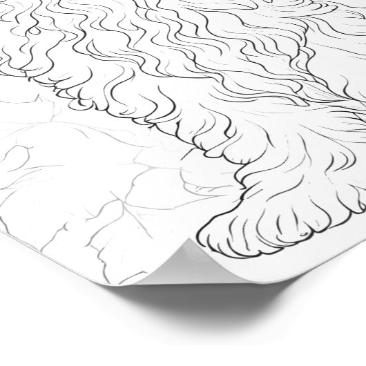 Maltese hond volwassen kleuring poster (Hoek)