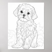 Maltese hond volwassen kleuring poster (Voorkant)