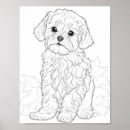 Maltese hond volwassen kleuring poster