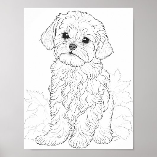 Maltese hond volwassen kleuring poster (Voorkant)