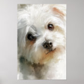 Maltese hond watercolor portret poster (Voorkant)
