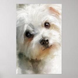 Maltese hond watercolor portret poster
