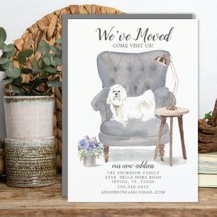 Maltese hond We hebben een bewegende aankondiging