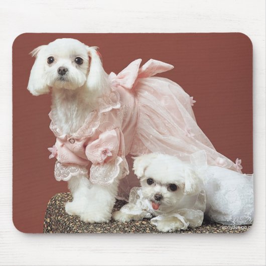 Maltese honden muismat (Voorkant)