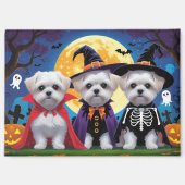 Maltese honden pompoen Halloween grappig Magneet (Voorkant)