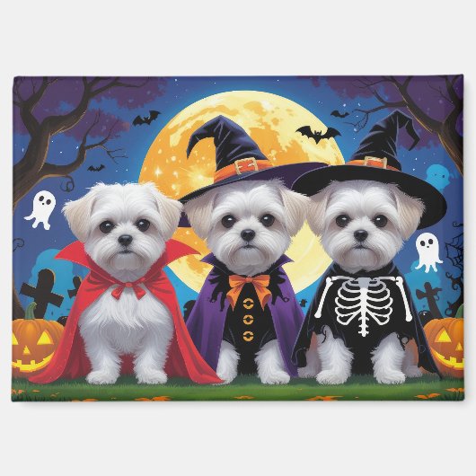 Maltese honden pompoen Halloween grappig Magneet (Voorkant)