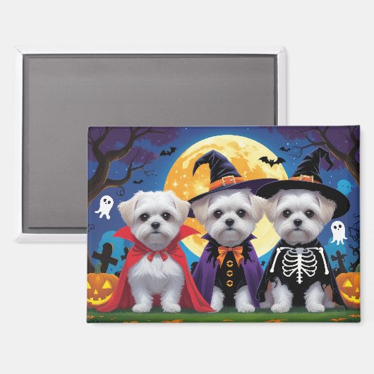 Maltese honden pompoen Halloween grappig Magneet (Voorkant / Achterkant)
