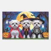 Maltese honden pompoen Halloween grappig Rechthoekige Sticker (Voorkant)