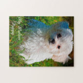 Maltese hondenras. Legpuzzel (Horizontaal)