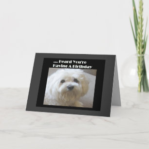 Maltese Humor Birthday Card voor Over-the-Hill Kaart