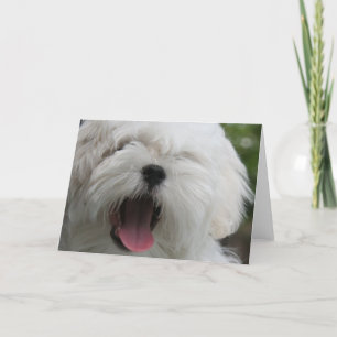 Maltese Kaart