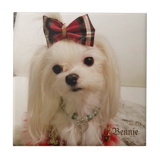 Maltese keramische tegel tegeltje (Voorkant)