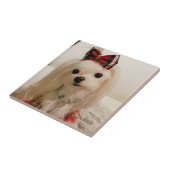 Maltese keramische tegel tegeltje (Zijkant)