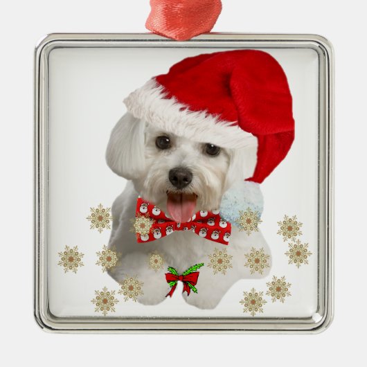 Maltese kerstcadeautjes voor kerst metalen ornament (Voorkant)