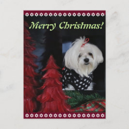 Maltese Kerstmis Feestdagenkaart