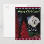 Maltese Kerstmis Feestdagenkaart (Voorkant / Achterkant)