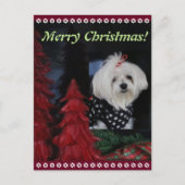 Maltese Kerstmis Feestdagenkaart (Voorkant)