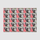 Maltese Kerstmis met Rode Bomen Tissuepapier (Voorkant)