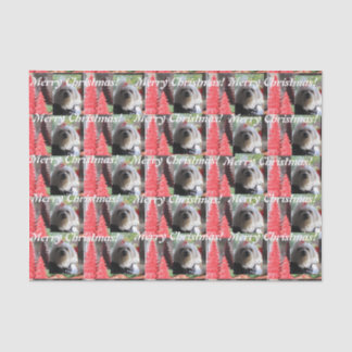 Maltese Kerstmis met Rode Bomen Tissuepapier