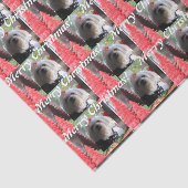 Maltese Kerstmis met Rode Bomen Tissuepapier (Detail)