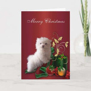 Maltese Kerstmis van de Hond van het Puppy Feestdagen Kaart