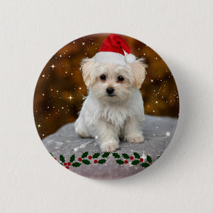 Maltese Kerstmis van het Puppy Ronde Button 5,7 Cm