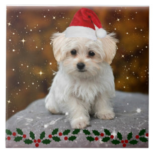Maltese kerstpuppel tegeltje
