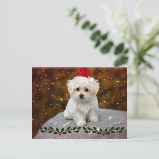Maltese kerstpuppy briefkaart (Staand voorkant)