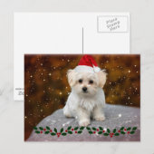 Maltese kerstpuppy briefkaart (Voorkant / Achterkant)