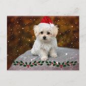 Maltese kerstpuppy briefkaart (Voorkant)