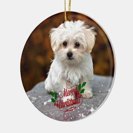 Maltese kerstpuppy keramisch ornament (Links)