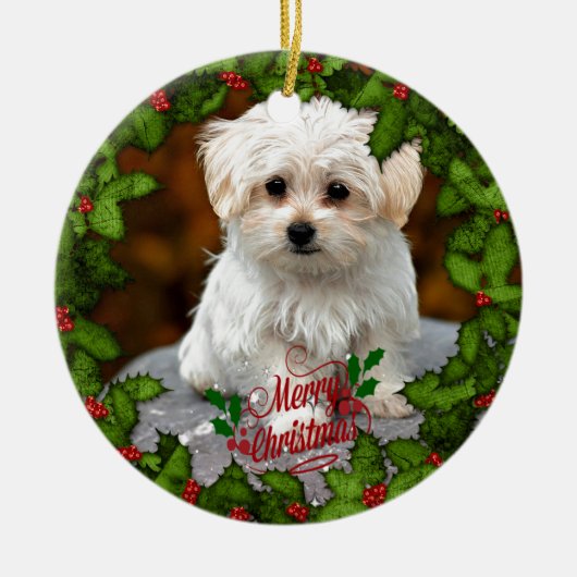 Maltese kerstpuppy keramisch ornament (Voorkant)