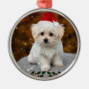Maltese kerstpuppy metalen ornament