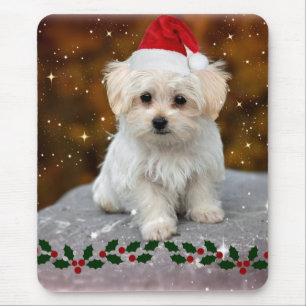 Maltese kerstpuppy muismat
