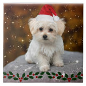 Maltese kerstpuppy tegeltje (Voorkant)