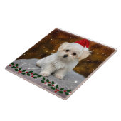 Maltese kerstpuppy tegeltje (Zijkant)