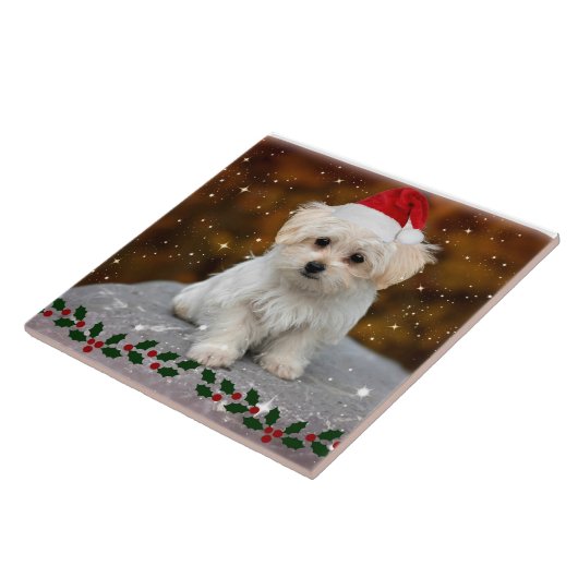 Maltese kerstpuppy tegeltje (Zijkant)