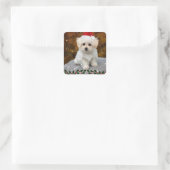 Maltese kerstpuppy vierkante sticker (Tas)