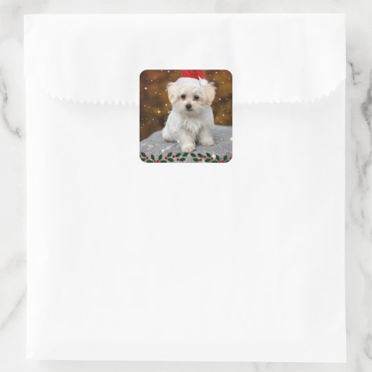 Maltese kerstpuppy vierkante sticker (Tas)
