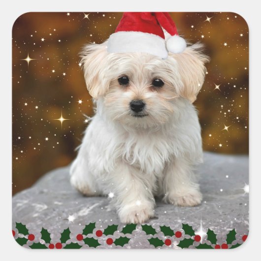 Maltese kerstpuppy vierkante sticker (Voorkant)