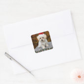 Maltese kerstpuppy vierkante sticker (Envelop)